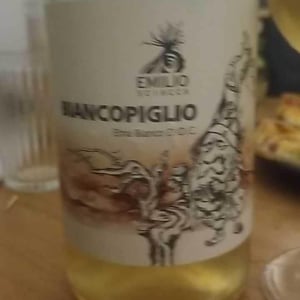 BIANCOPIGLIO - Emilio Sciacca Etna Wine - Emilio Sciacca 