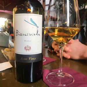 Azienda Agricola Aldo Viola - Aldo Viola - Biancoviola