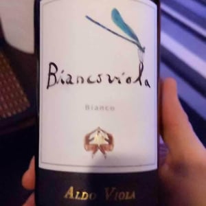 Azienda Agricola Aldo Viola - Aldo Viola - Biancoviola