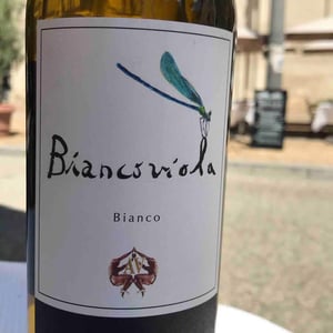Azienda Agricola Aldo Viola - Aldo Viola - Biancoviola