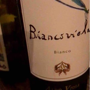 Azienda Agricola Aldo Viola - Aldo Viola - Biancoviola