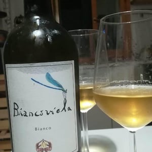 Azienda Agricola Aldo Viola - Aldo Viola - Biancoviola