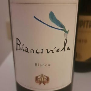Azienda Agricola Aldo Viola - Aldo Viola - Biancoviola