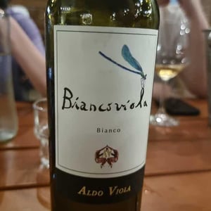 Azienda Agricola Aldo Viola - Aldo Viola - Biancoviola