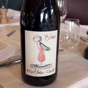 Biau - Domaine Bio Coste - mathieu-coste