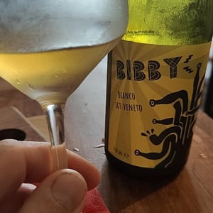 Bibby - Il Moralizzatore - Enrico Frisone & Andrea Dalla Grana -2020