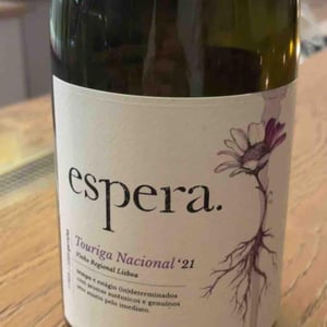 Bical & Arinto - Espera Wines - rodrigo-martins -2020