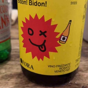 Bidon! Bidon! - Fora Wines - giovanni-bottazzi-simone-fanton