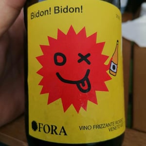 Bidon! Bidon! - Fora Wines - Giovanni Bottazzi, Simone Fanton 