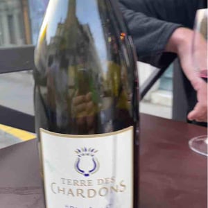 Bien Luné - Terre des Chardons - Jérôme Chardon 