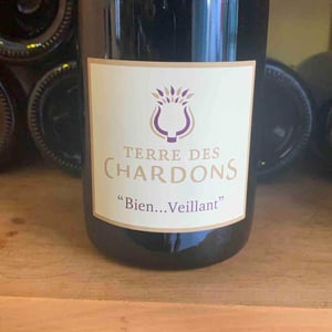 Bien Veillant - Terre des Chardons - jerome-chardon -2020