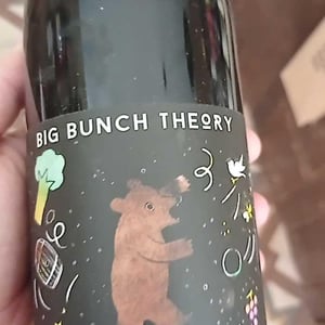Big Bunch Theory "Fresh Impression" Rouge - Domaine Hughes-Beguet - caroline-patrice-hughes-beguet