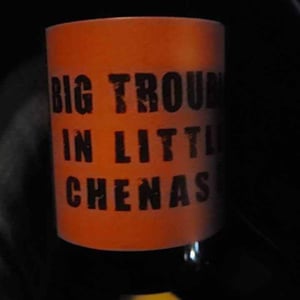 Big Trouble In Little Chenas - Clos des Vignes du Maynes - Julien Guillot 
