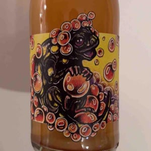 Bigarrure - Domaine Muller-Koeberle - David Koeberle 
