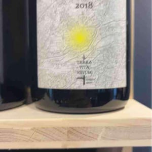 Bigottière - Terra Vita Vinum - benedicte-luc-briand -2018