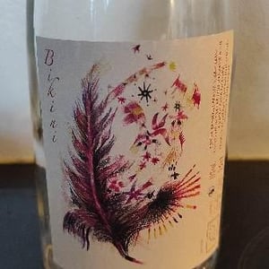 Bikini - Vignes De L'Atrie (CLOSED) - Elise Hamant (CLOSED) 