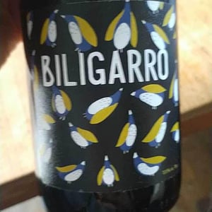 Biligaro - Fontaine Des Grives / Château Richard - leila-lare-benoit-perisse -2021