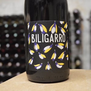 Biligaro - Fontaine Des Grives / Château Richard - leila-lare-benoit-perisse -2021