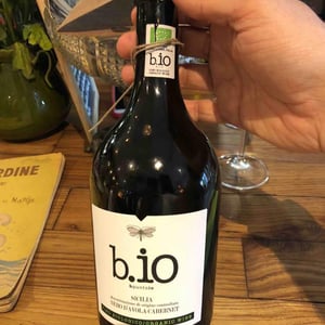 b.io nero d’avola - bpuntoio - bpuntoio