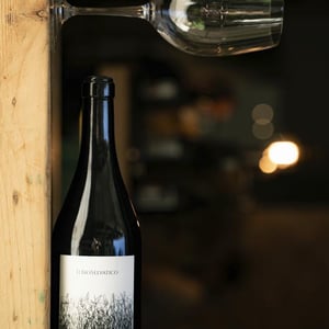 Bioselvatico Sangiovese - Bioselvatico di Filippo Volpi - Filippo Volpi -2019