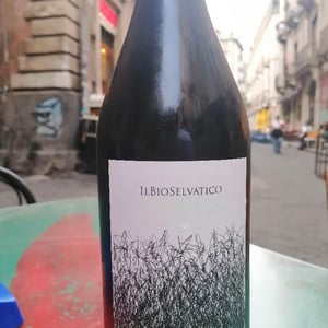 Bioselvatico Sangiovese - Bioselvatico di Filippo Volpi - filippo-volpi -2019