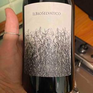 Bioselvatico Sangiovese - Bioselvatico di Filippo Volpi - Filippo Volpi -2019