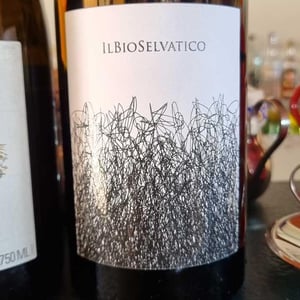 Bioselvatico Sangiovese - Bioselvatico di Filippo Volpi - Filippo Volpi -2019