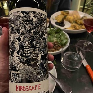 Birdscape - Christian Tschida - Christian Tschida 