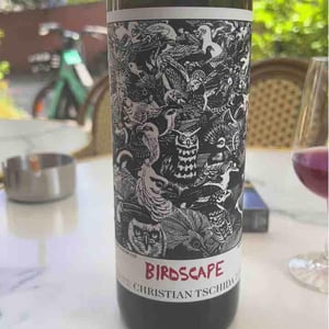 Birdscape - Christian Tschida - Christian Tschida 