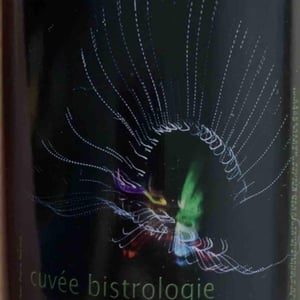 Bistrologie - Les Vignes de l'Angevin - Jean-Pierre Robinot 