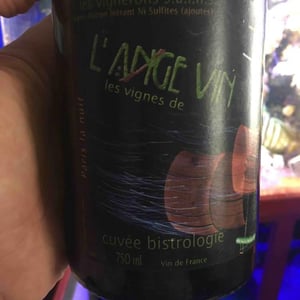 Les Vignes de l'Angevin - Jean-Pierre Robinot - Bistrologie