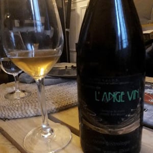 Les Vignes de l'Angevin - Jean-Pierre Robinot - Bistrologie