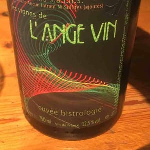 Les Vignes de l'Angevin - Jean-Pierre Robinot - Bistrologie