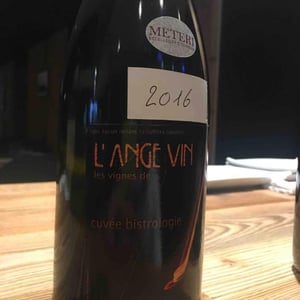 Bistrologie - Les Vignes de l'Angevin - jean-pierre-robinot