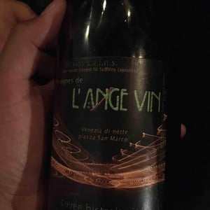 Les Vignes de l'Angevin - Jean-Pierre Robinot - Bistrologie