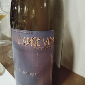Bistrologie - Les Vignes de l'Angevin - jean-pierre-robinot