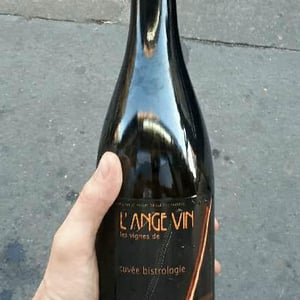 Bistrologie - Les Vignes de l'Angevin - Jean-Pierre Robinot 