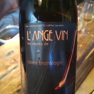 Les Vignes de l'Angevin - Jean-Pierre Robinot - Bistrologie