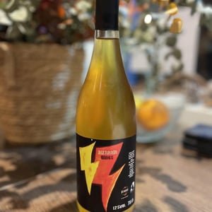 BIzarría Wines - Bizarria Wines - Vicente Ovejero 
