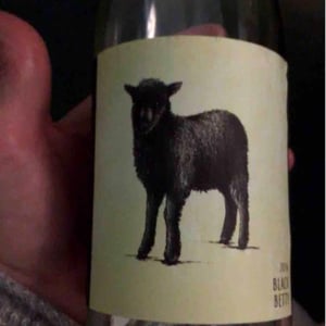 2 Naturkinder - Melanie Drese & Michael Völker - Black Betty