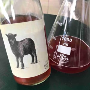 2 Naturkinder - Melanie Drese & Michael Völker - Black Betty