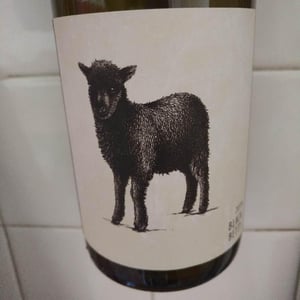 2 Naturkinder - Melanie Drese & Michael Völker - Black Betty