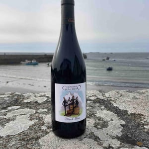 Black Giac - Domaine Giachino - frederic-david-clement-giachino