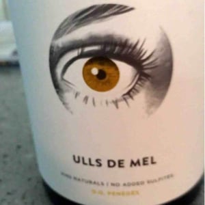 Ulls De Mel Negre - Els Vinyerons / Sin Project - Amós Bañeres Merinero & Alex Ruiz Masachs 