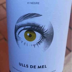 Ulls De Mel Negre - Els Vinyerons / Sin Project - Amós Bañeres Merinero & Alex Ruiz Masachs 