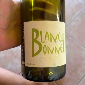 Blanc Bonnet - SAS Bascule! + Ex Domaine Leonine - caroline-stephane-morin -2021