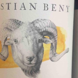 Blanc de Blancs Brut Nature - Weingut Bastian Beny - Gianna und Bastian Beny 