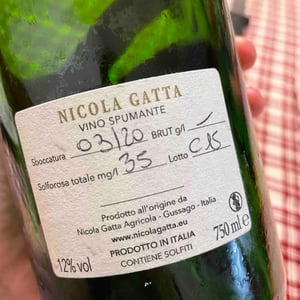 Blanc De Blancs - Nicola Gatta - Metodo Classico - Nicola Gatta 