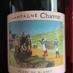 Blanc de Chardonnay - Champagne Chavost - fabian-daviaux