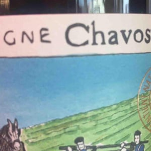 Blanc de Chardonnay - Champagne Chavost - fabian-daviaux